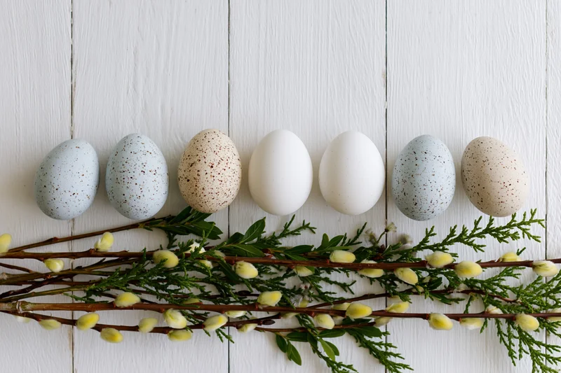 Speckled easter eggs arranged in a row above willow branches on a white wooden surface