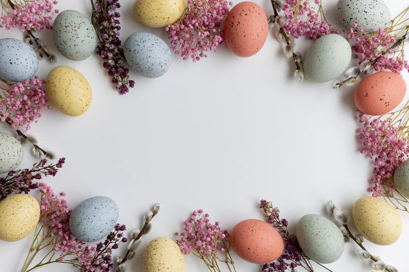 Speckled pastel easter eggs and dried pink flowers arranged in a frame on white background with copyspace
