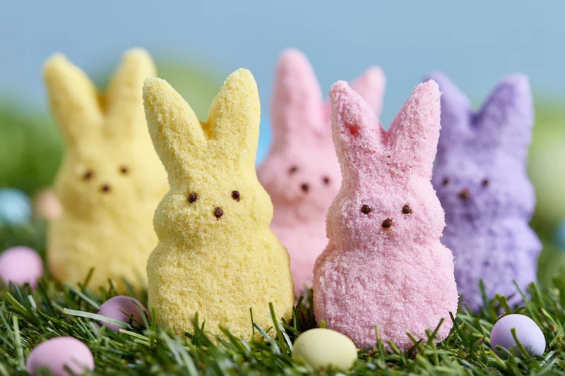 Marshmallow peeps bunny candies arranged in grass with pastel eggs for easter celebration