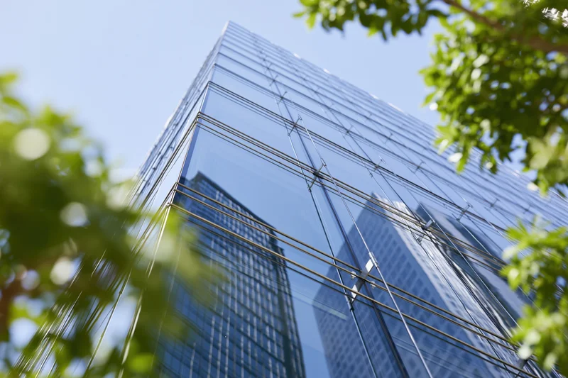 Glass curtain wall of a modern office building reflecting sky and surrounding skyscrapers, framed by green tree leaves at low angle