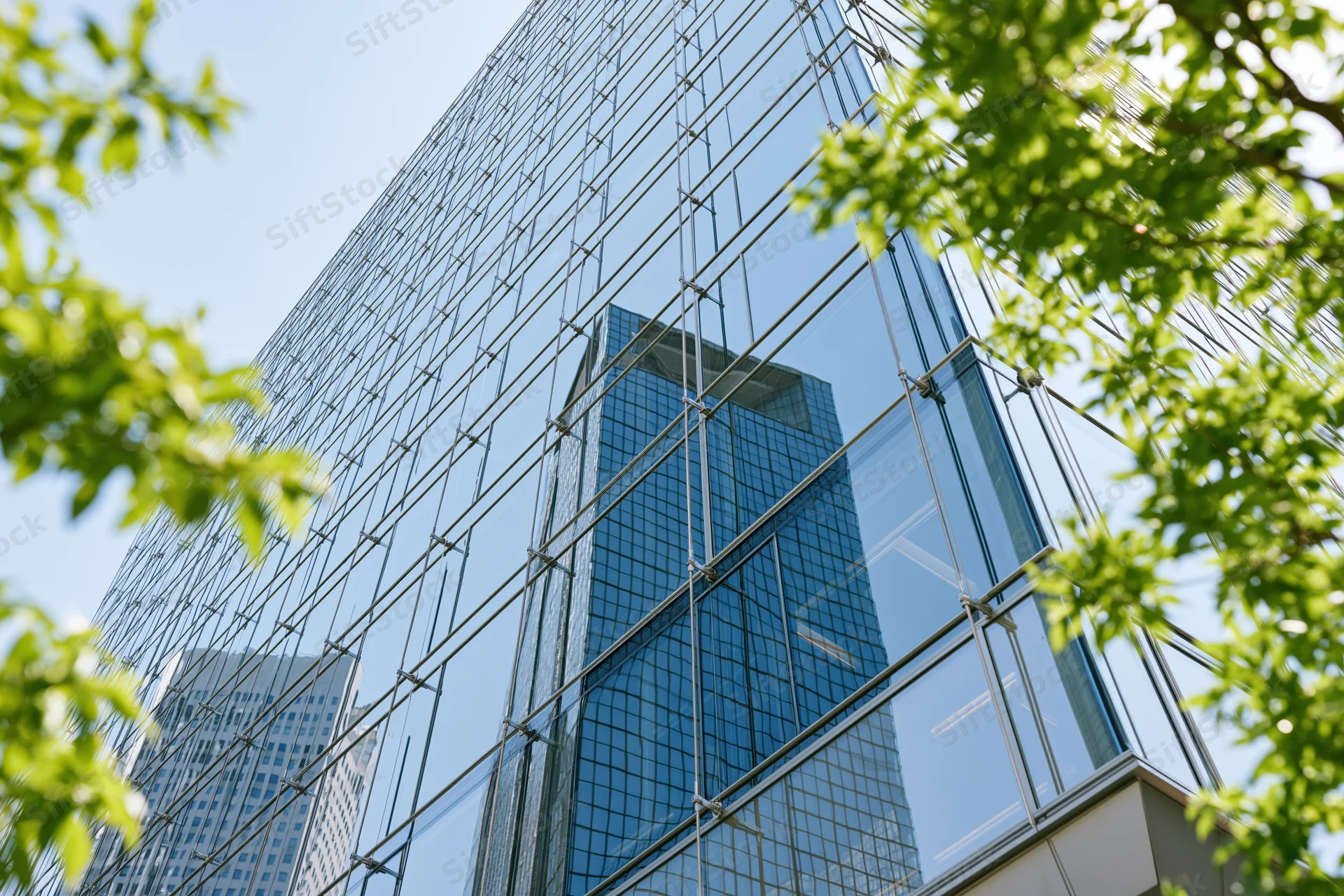 Glass curtain wall of a modern office building reflecting sky and surrounding skyscrapers, framed by green tree leaves
