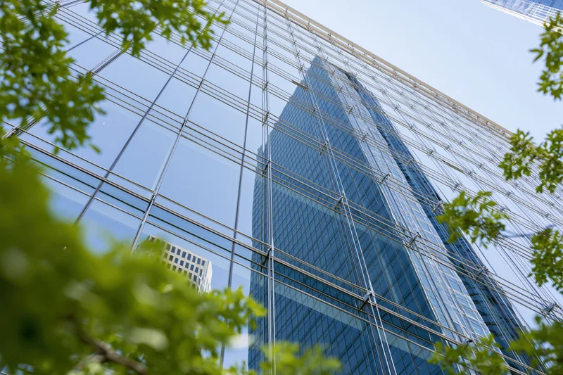 Glass curtain wall of a modern office building reflecting sky and surrounding structures, framed by green tree leaves at low angle