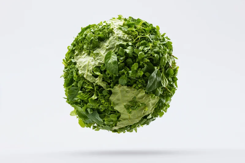 Dense green leaves forming a spherical globe shape floating against a white background