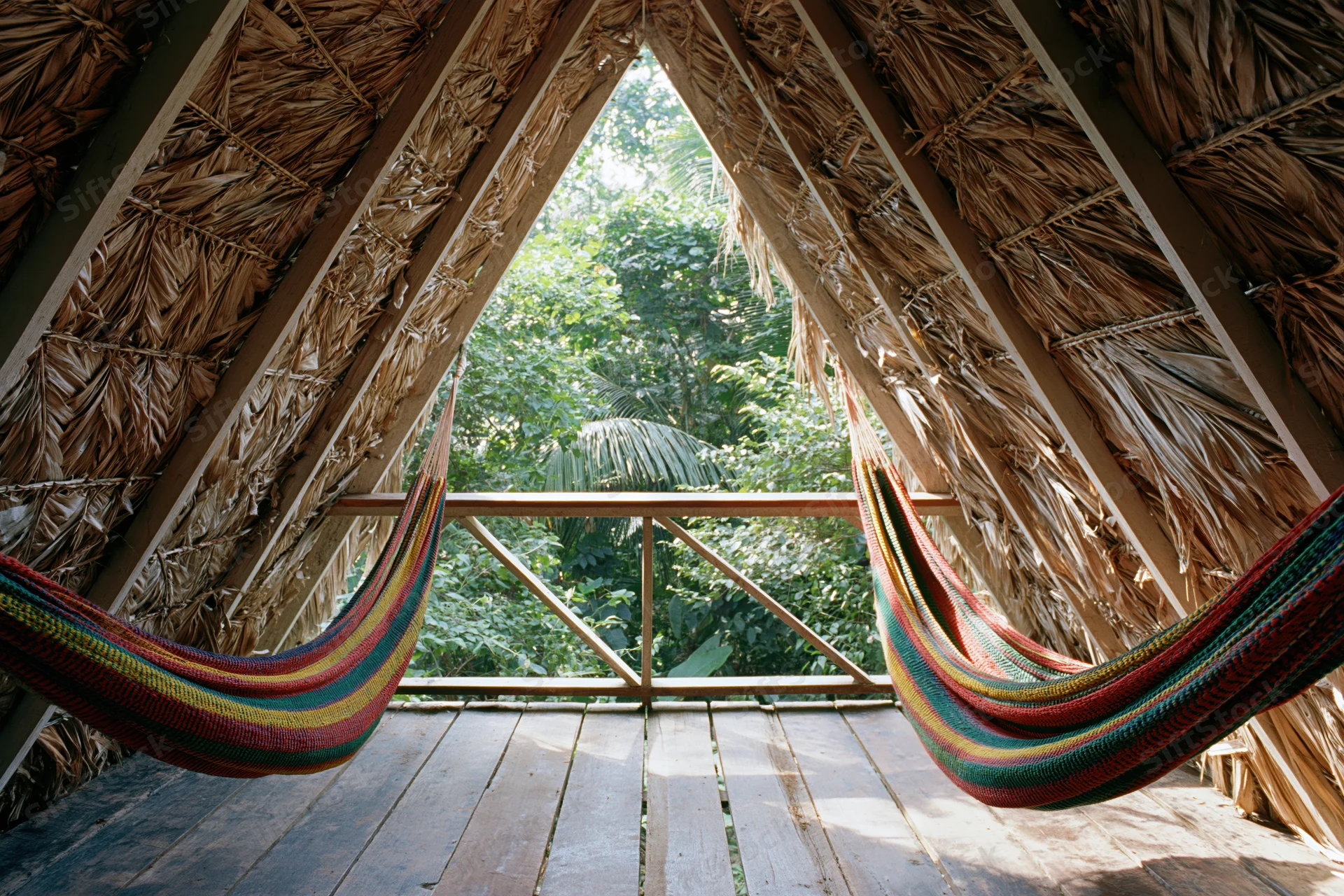 Two colorful woven hammocks suspended inside a thatched A-frame jungle hut with a view of tropical foliage through the open front