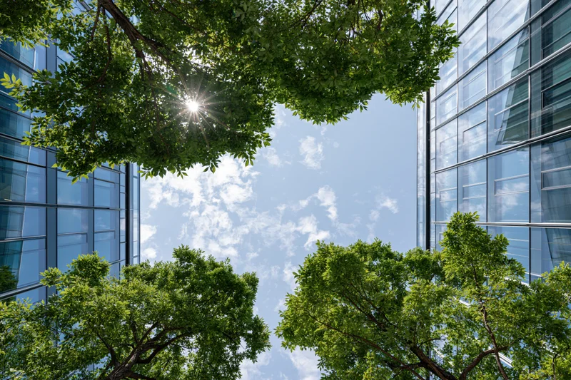 View looking up between two modern glass buildings framed by green trees with sun shining through leaves against blue sky