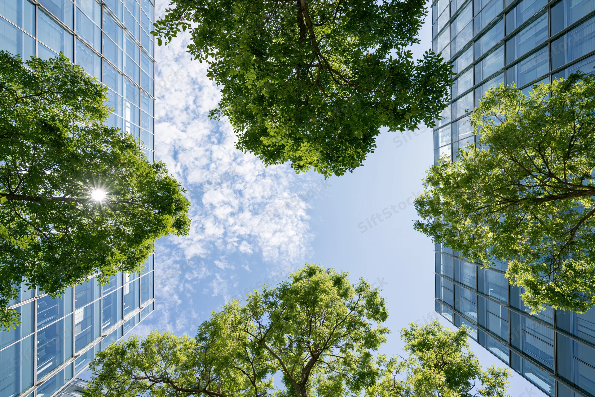 Upward view between modern glass buildings with green trees and blue sky