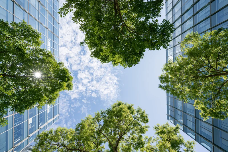 Upward view between modern glass buildings with green trees and blue sky