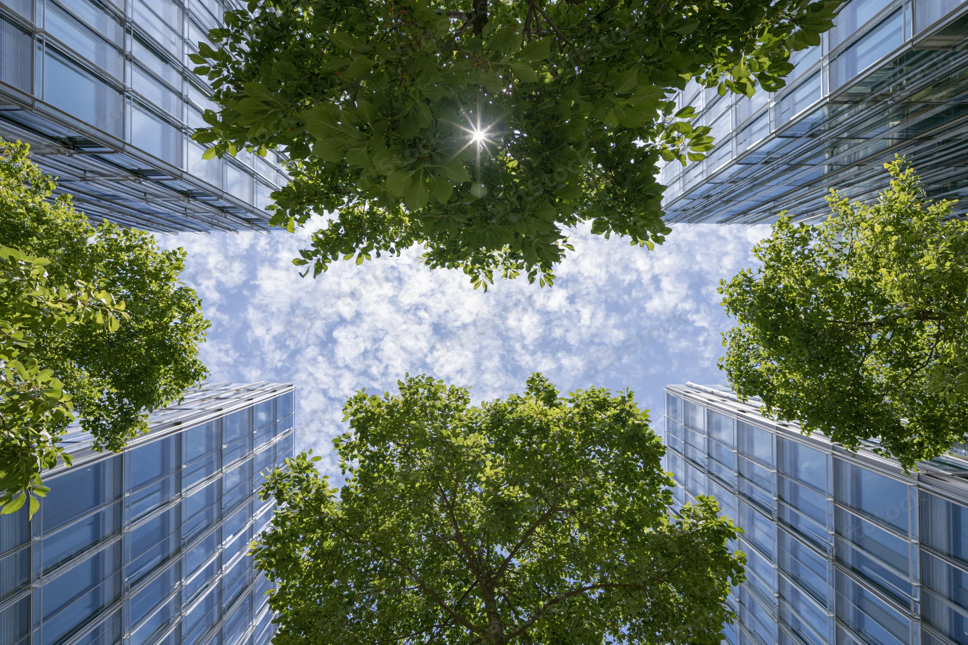 Upward view through green trees and glass buildings in an urban courtyard