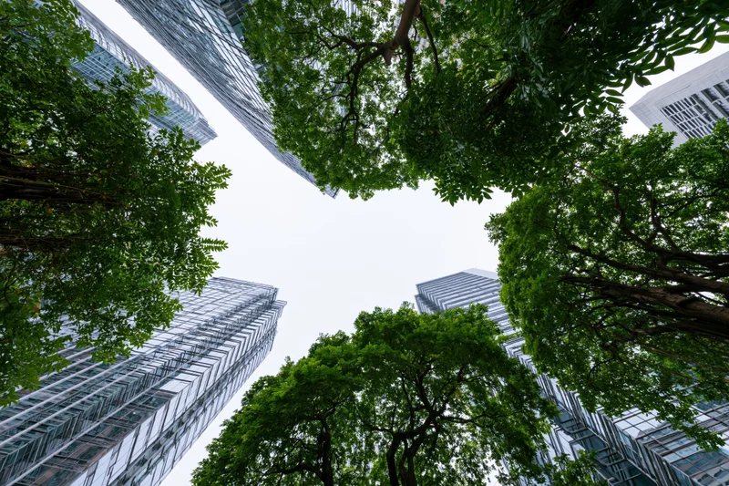 Upward view of modern glass skyscrapers and green trees in an urban city setting