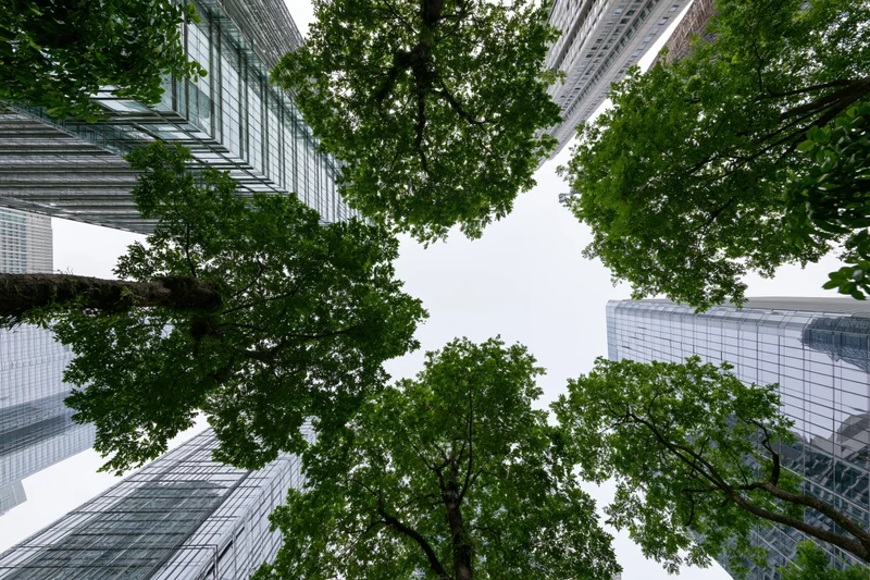 Upward view of tall glass skyscrapers and green trees in a city center