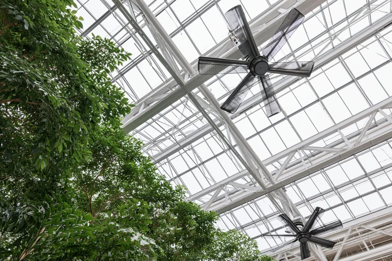 Glass-and-steel roof structure with ceiling fans and green foliage inside a modern greenhouse
