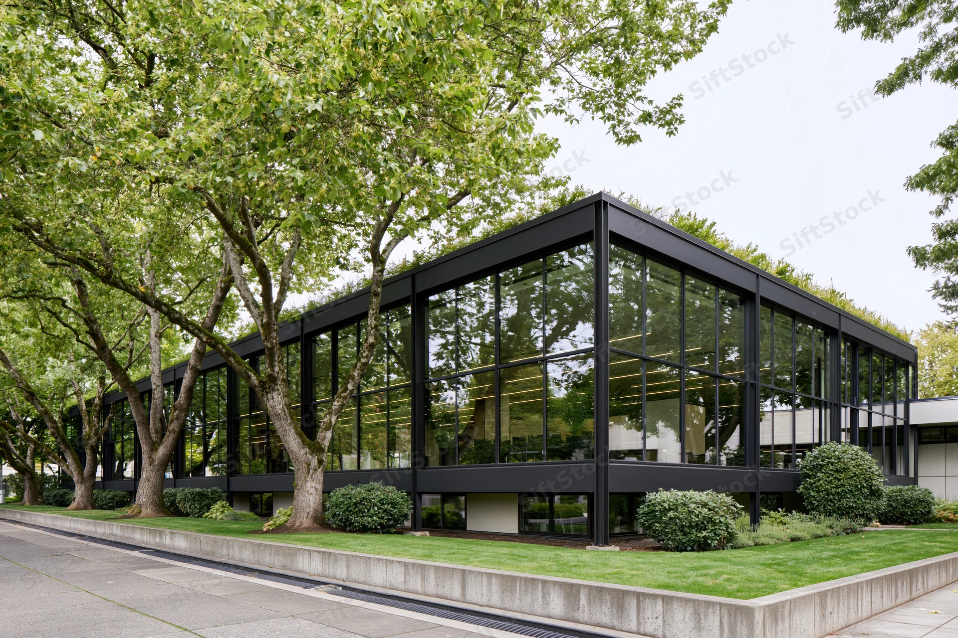 Low-rise modernist office building with dark steel frame and glass facade surrounded by trees and green lawn
