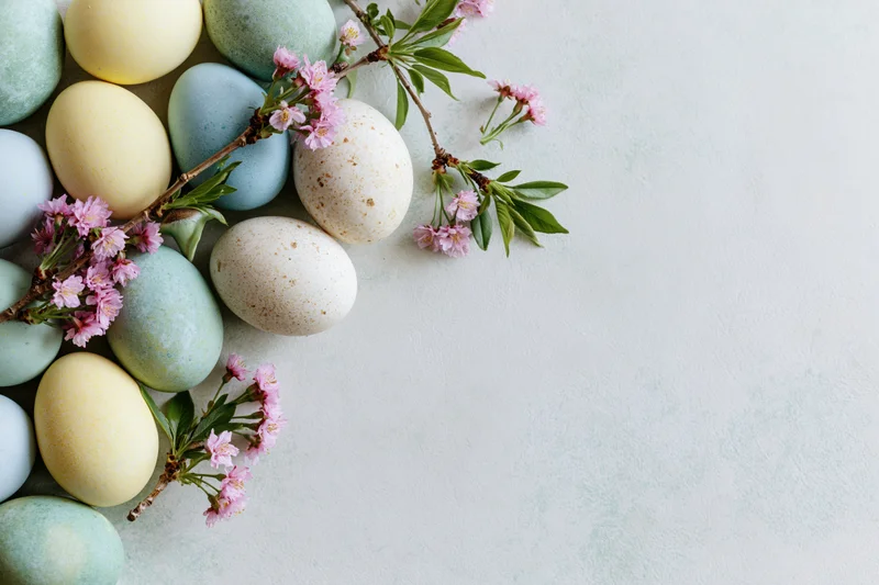 Pastel-dyed easter eggs and cherry blossom branches arranged on a white surface with copyspace