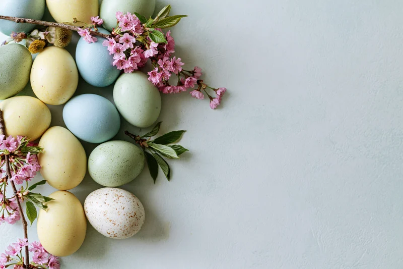 Pastel-dyed easter eggs and pink cherry blossom branches arranged in a flat lay on a light surface with copyspace