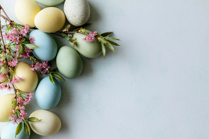 Pastel-dyed easter eggs and pink cherry blossom branches arranged on a light textured surface with copyspace