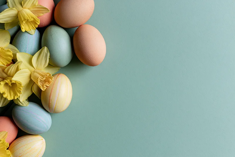 Pastel-painted easter eggs and fresh yellow daffodil blooms arranged in a flat lay on a solid teal background with copyspace