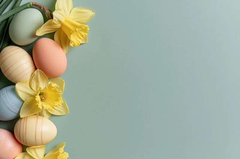 Pastel-painted easter eggs and fresh yellow daffodil blooms arranged in a flat lay along the left edge of a solid green background with copyspace on the right
