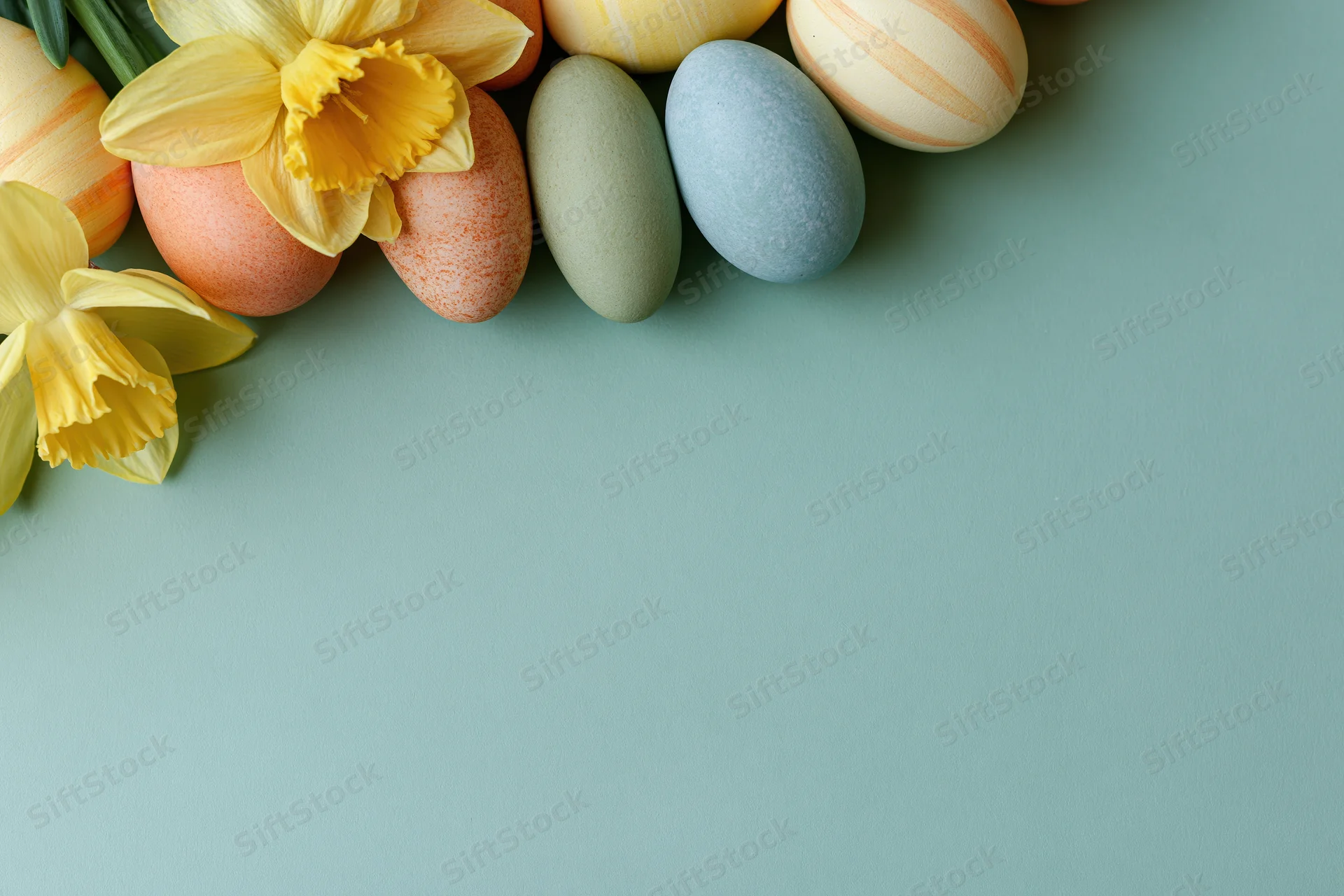Pastel-painted easter eggs and fresh yellow daffodil blooms arranged in a flat lay on a solid teal background with copyspace