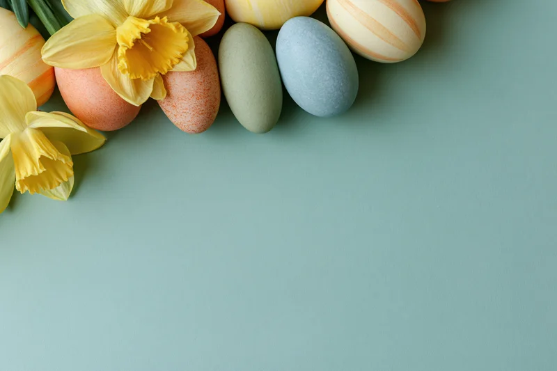 Pastel-painted easter eggs and fresh yellow daffodil blooms arranged in a flat lay on a solid teal background with copyspace