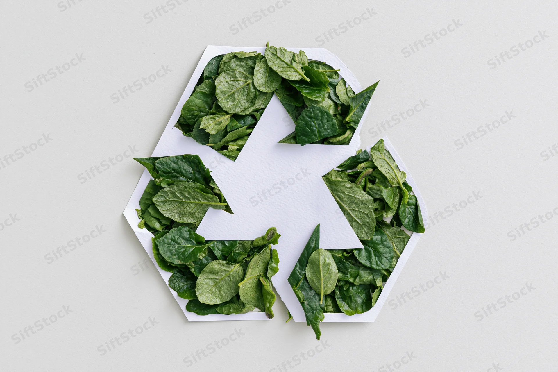 Recycling symbol cut from white paper revealing green spinach leaves inside