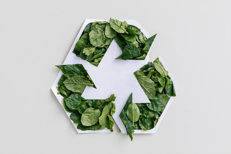 Recycling symbol cut from white paper revealing green spinach leaves inside