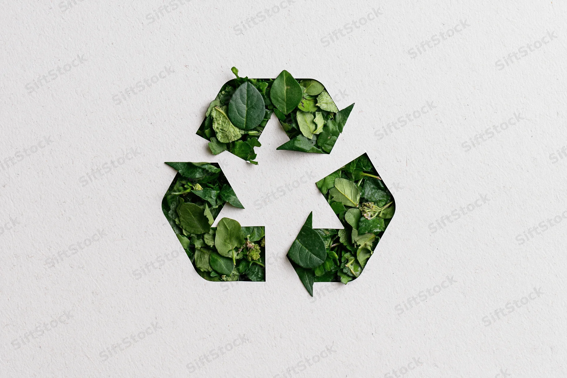 Recycling symbol cutout revealing green leaves on white background