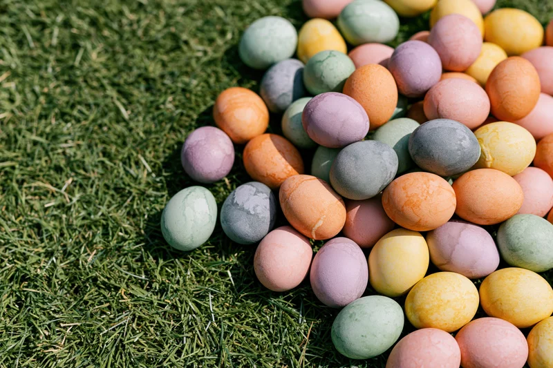 Hand-dyed easter eggs in pastel colors scattered on green grass outdoors
