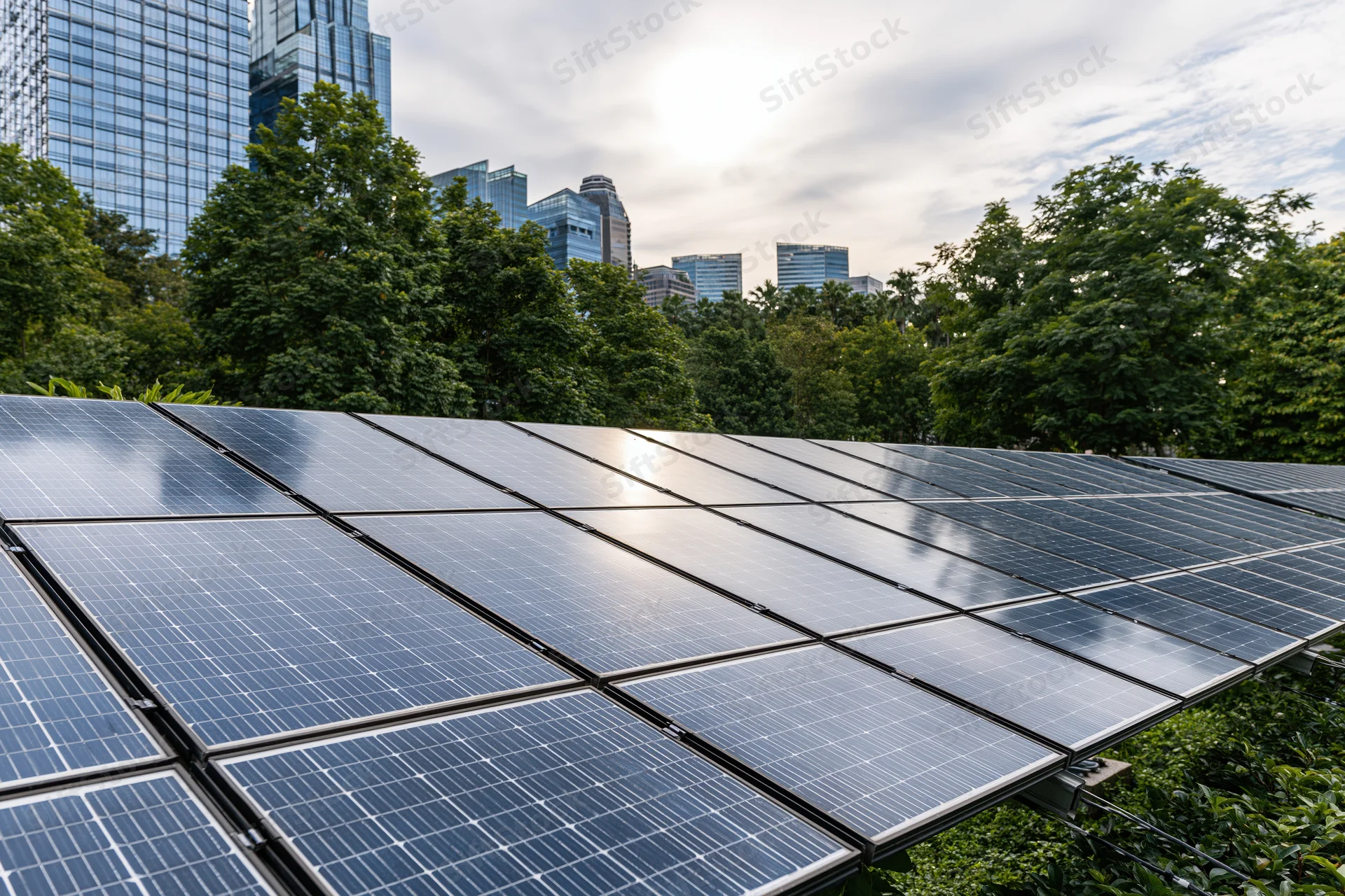 Rows of solar panels installed on a rooftop in an urban green space with glass buildings and trees in the background