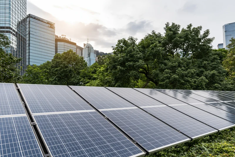 Rows of solar panels installed in an urban green space with skyscrapers and trees in the background