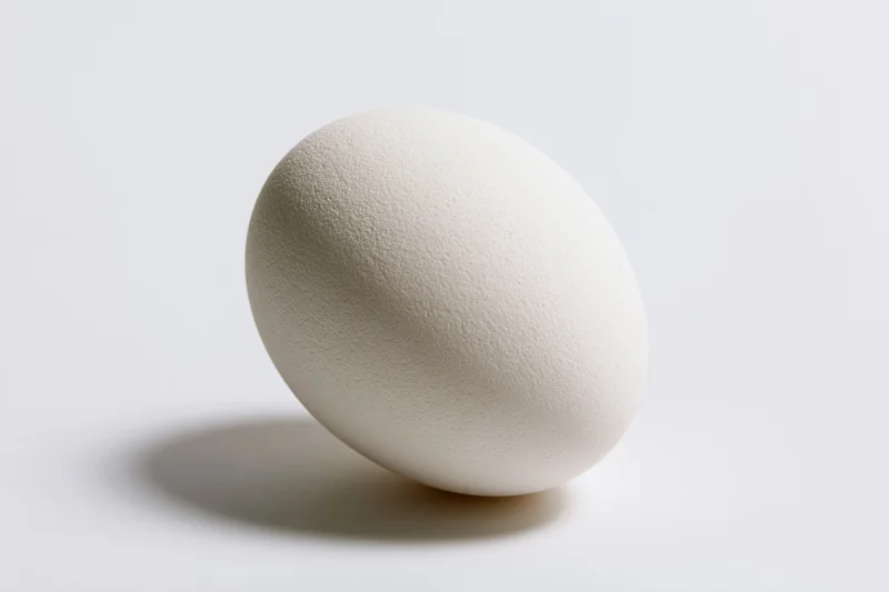 Single white chicken egg resting on flat white surface in studio lighting