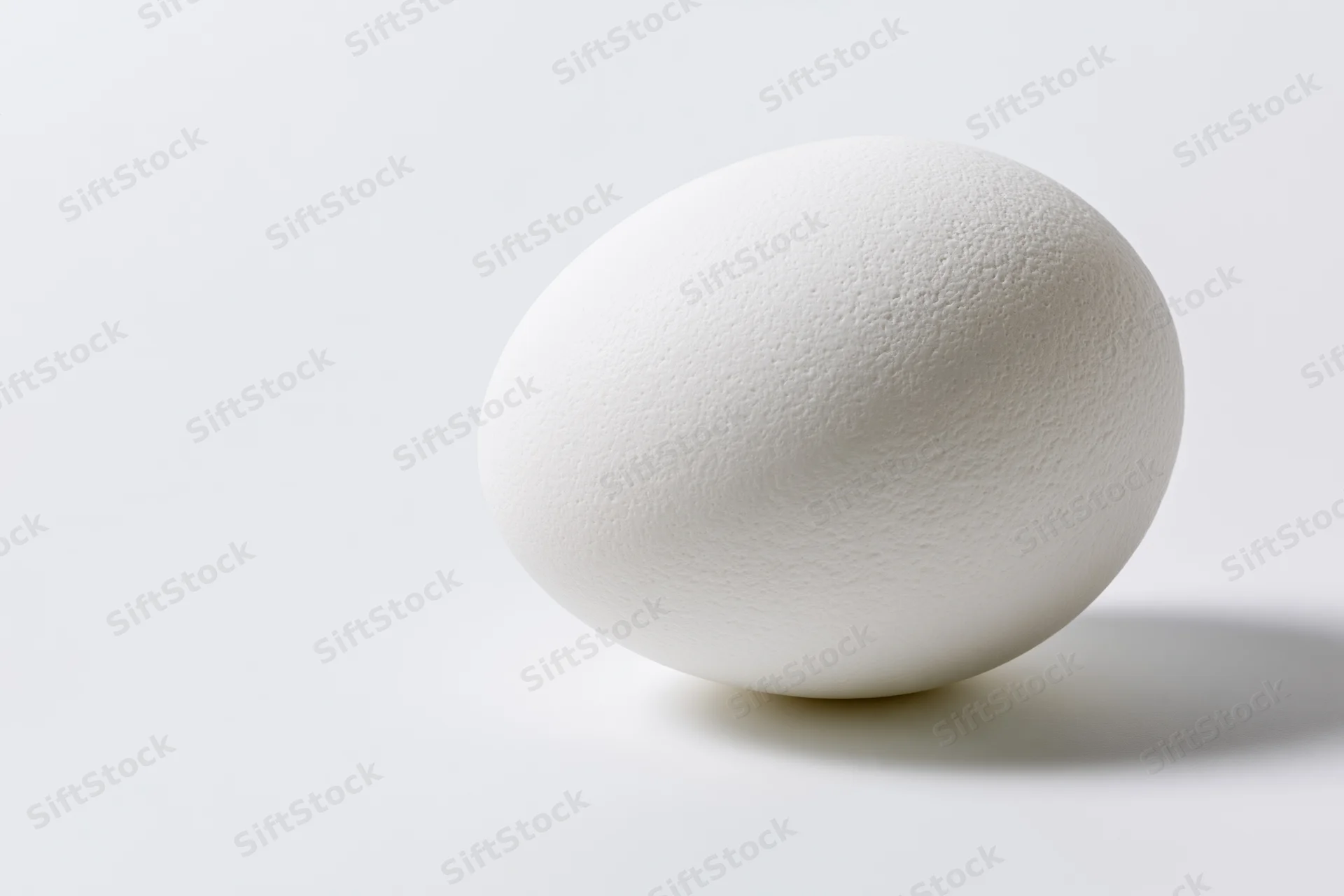 Single white chicken egg resting on flat white surface in studio lighting