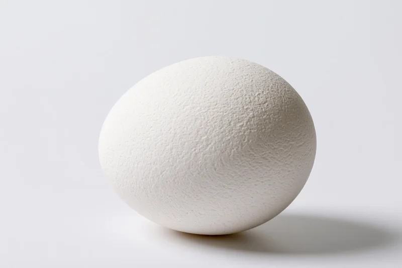 Single white chicken egg resting on flat white surface in studio lighting