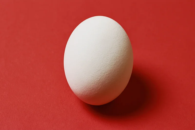 Single white chicken egg resting upright on a red surface