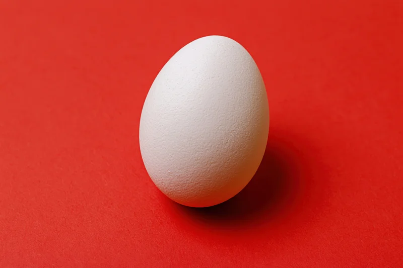 Single white chicken egg resting upright on a red surface