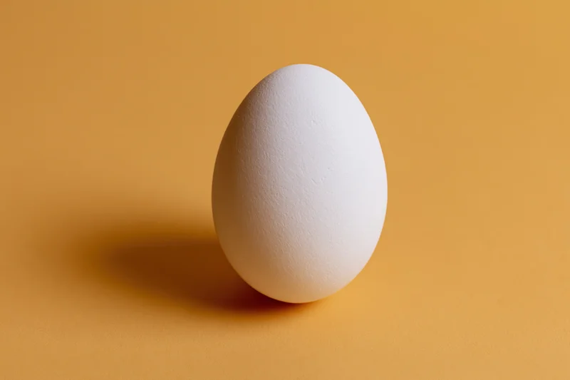 Single white chicken egg standing upright centered on yellow background