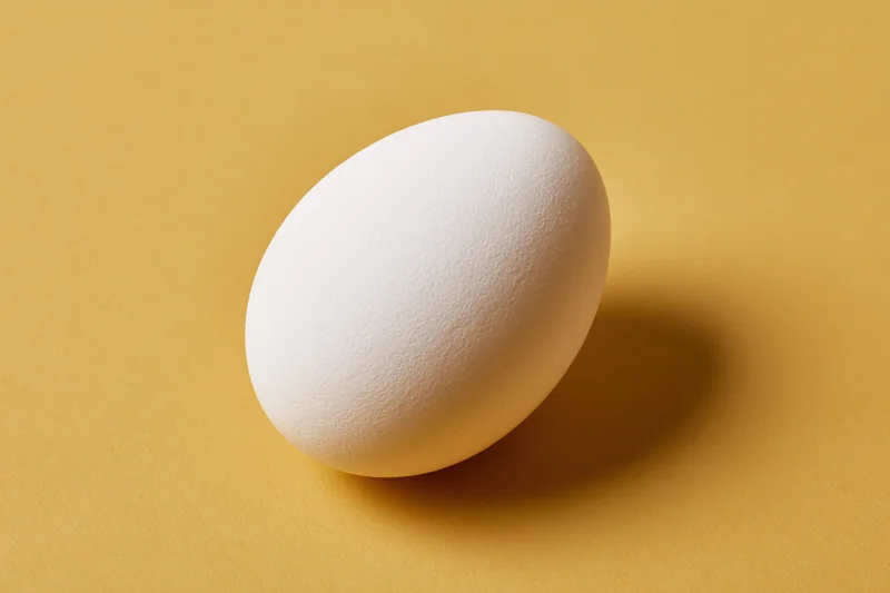 Single white chicken egg standing upright on a yellow surface