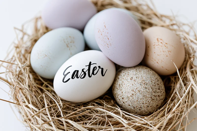 Six easter eggs in a dry straw nest with one labeled "easter" in black script