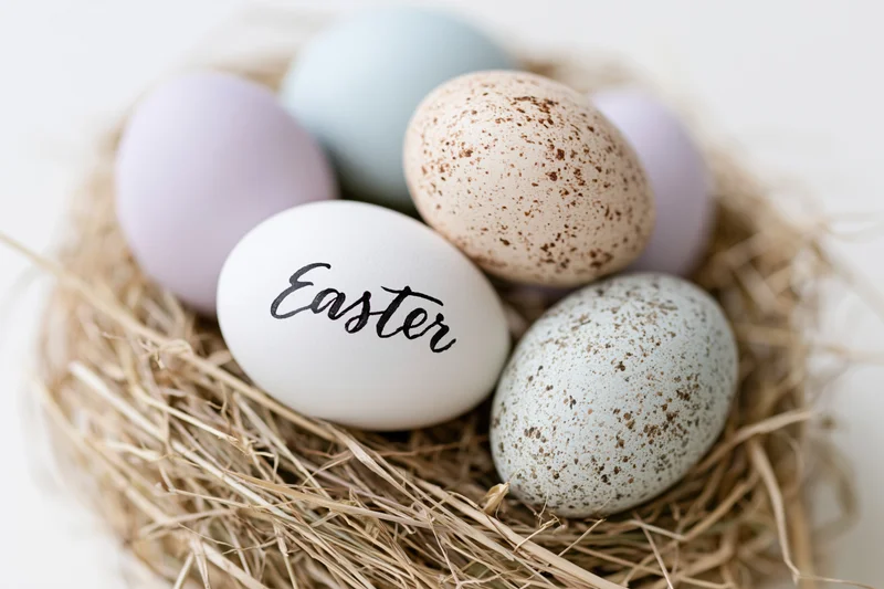 Six easter eggs in a dry straw nest with one white egg labeled easter
