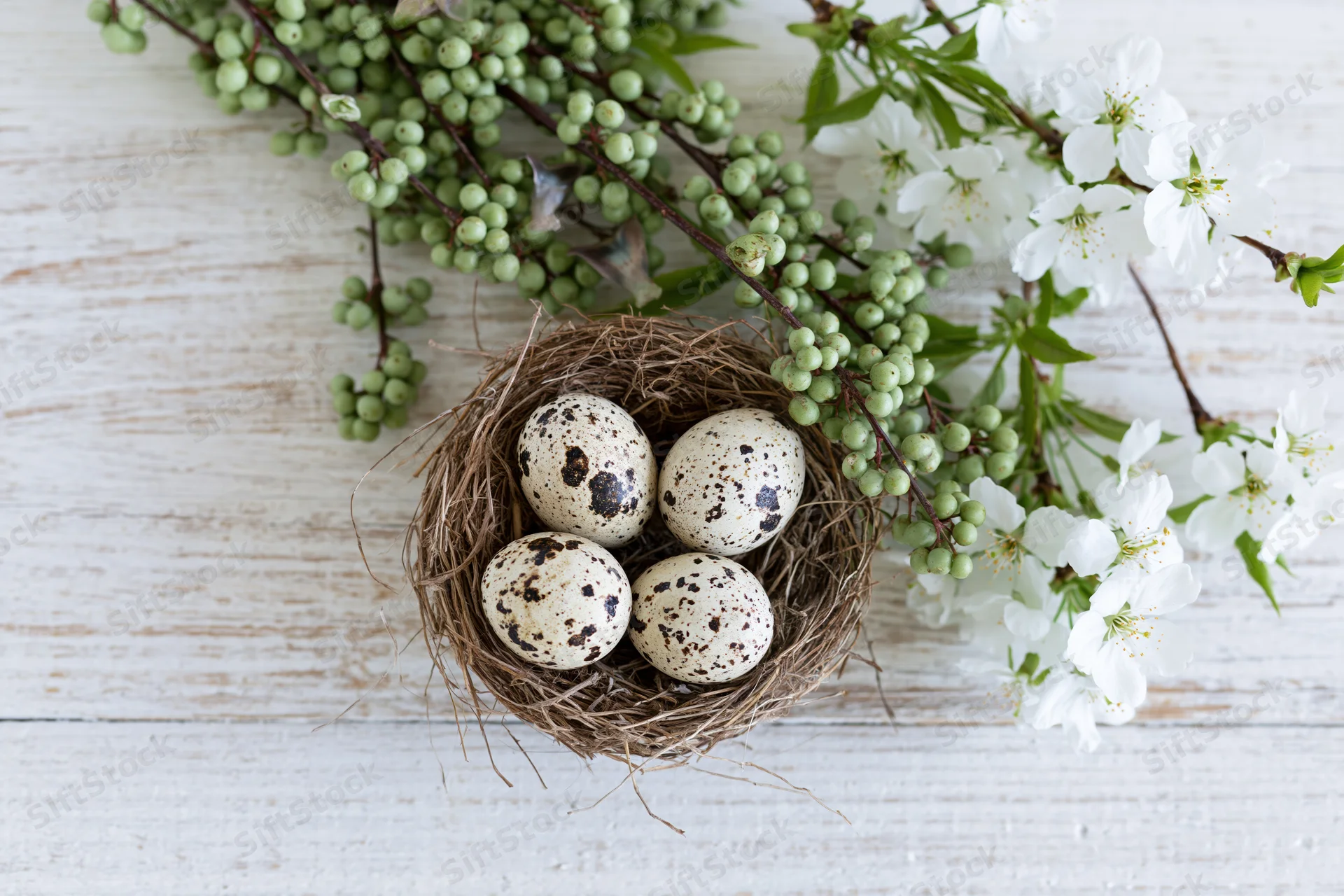Quail eggs in a straw nest surrounded by white blossoms and green berries on a whitewashed wooden surface