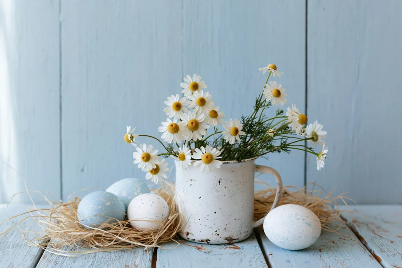 Wild chamomile daisies in a speckled enamel mug beside speckled eggs in straw on a blue wooden table