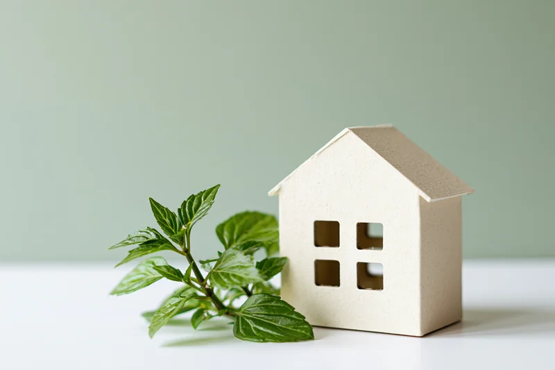 Small cream-colored cardboard house cutout beside a young green plant on a white surface with copyspace