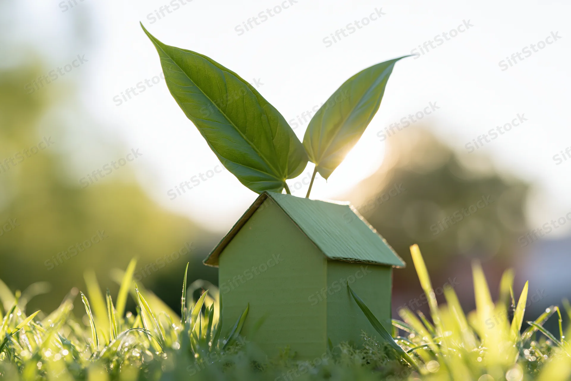 Small green cardboard house model with two large green leaves growing from its roof, placed in grass under sunlight