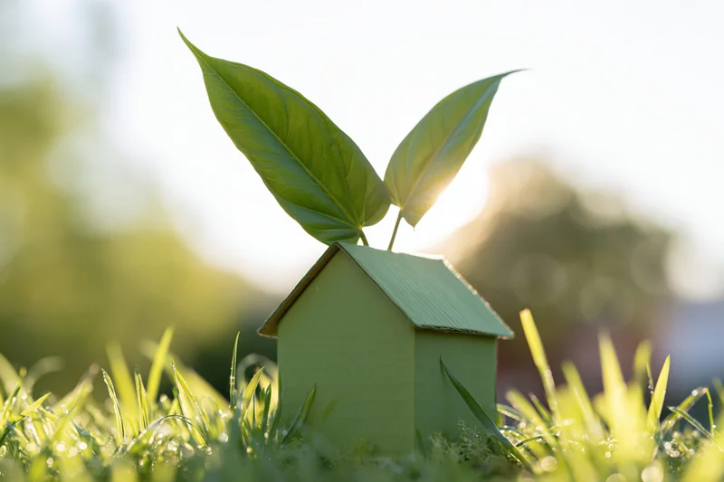 Small green cardboard house model with two large green leaves growing from its roof, placed in grass under sunlight