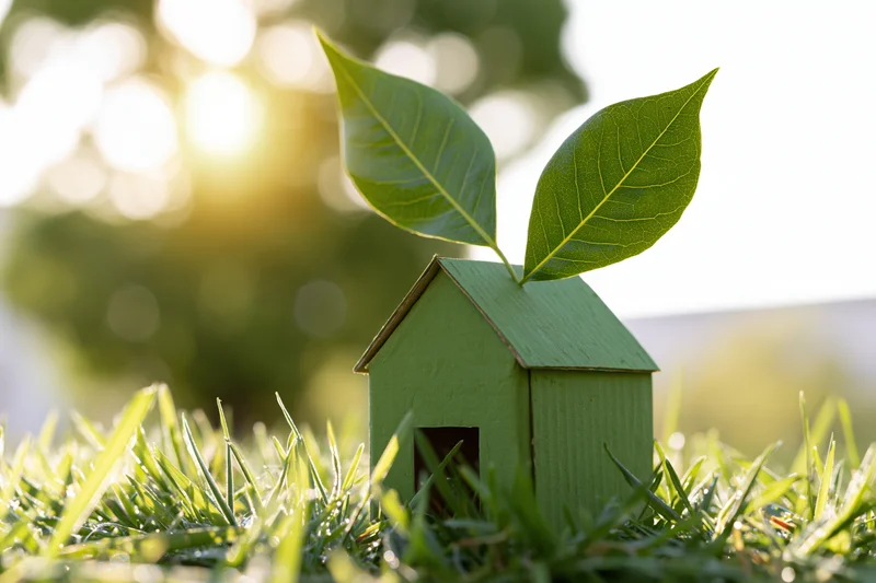 Small green cardboard house model with two large green leaves on its roof, placed on grass in sunlight