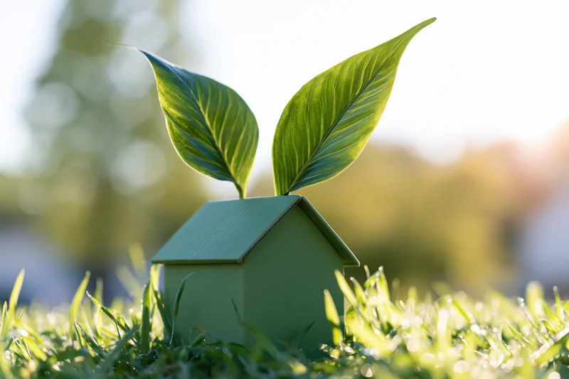 Small green cardboard house model with two large green leaves on grass in sunlight