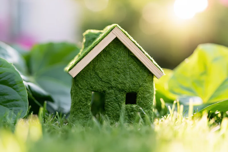 Green moss-covered house model sitting in fresh grass with blurred foliage and sunlight in background
