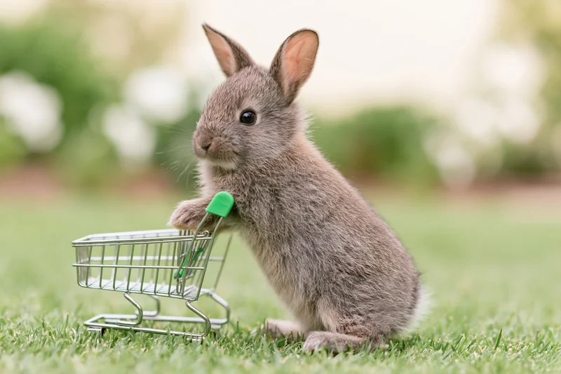 Baby rabbit standing upright on hind legs holding miniature shopping cart on grassy field