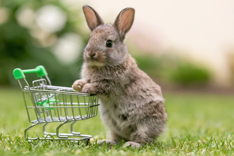 Baby rabbit standing upright on hind legs holding miniature shopping cart on grassy field