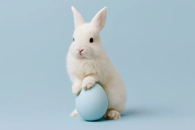 White fluffy baby rabbit sitting upright with front paw on blue egg against pastel background