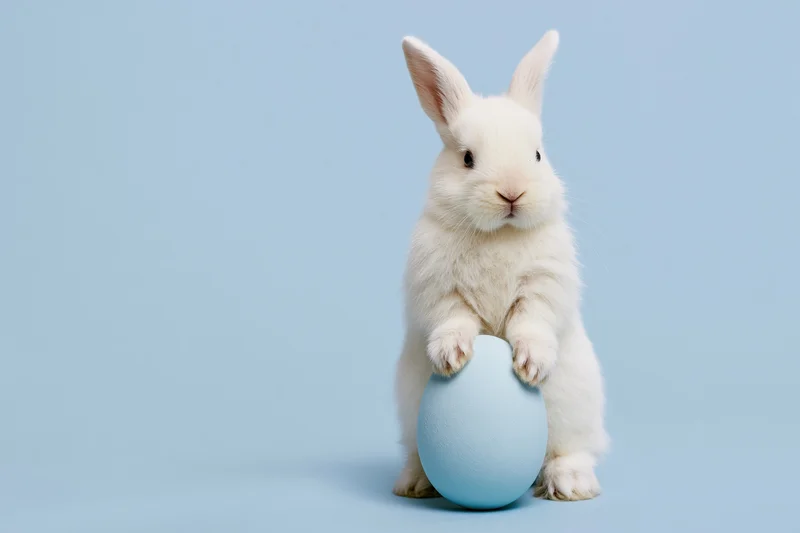 White fluffy baby rabbit sitting upright holding a blue egg against a light blue background